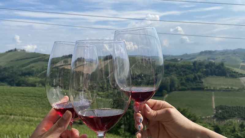 Barolo -rda vinets hgborg